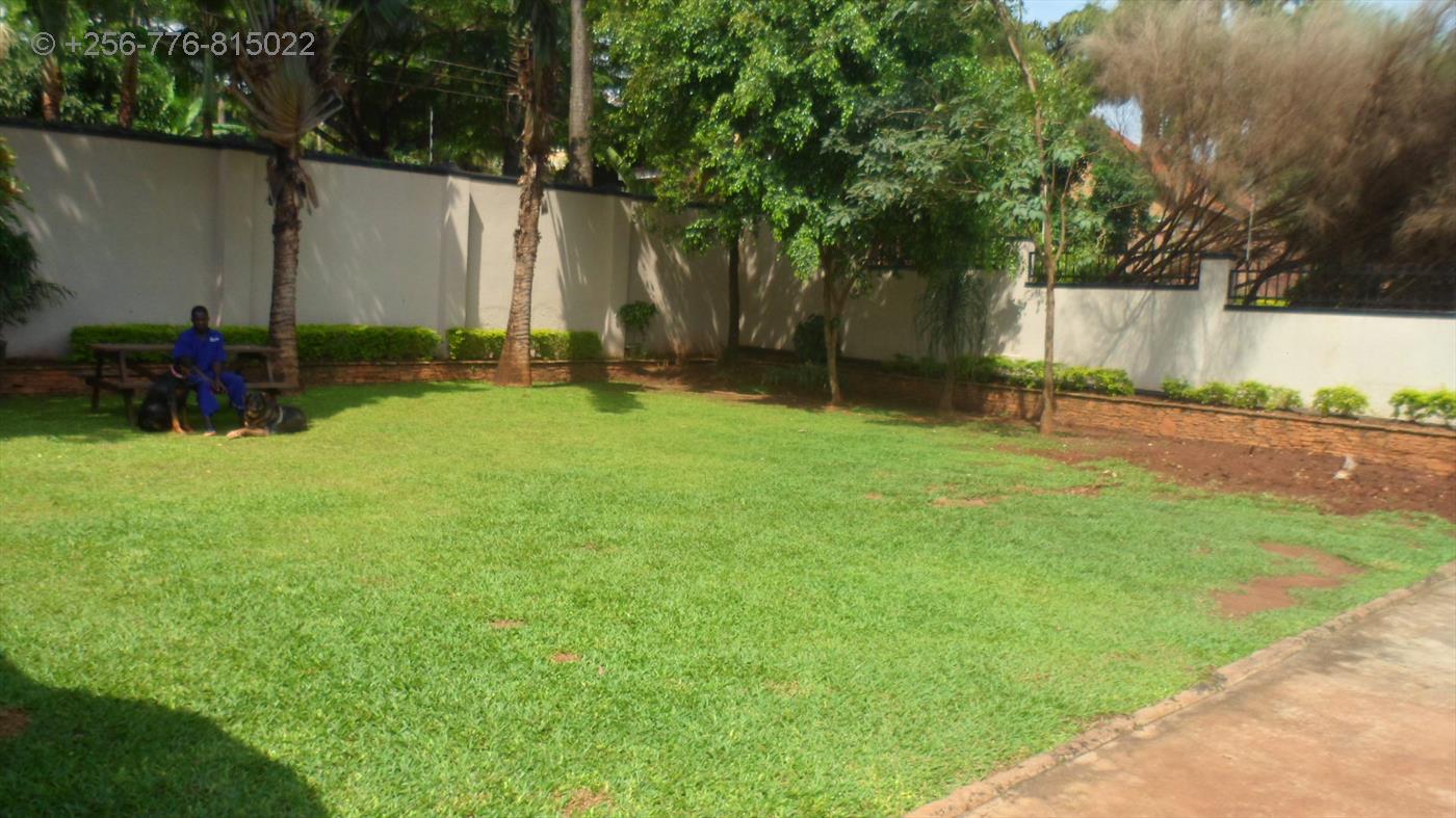 Bungalow for rent in Naguru Kampala