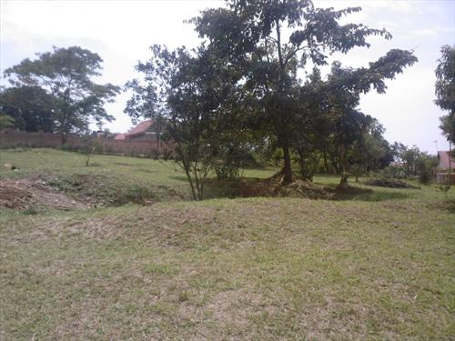 Residential Land for sale in Munyonyo Kampala