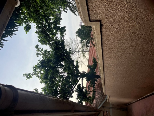 Bungalow for sale in Bugoloobi Kampala