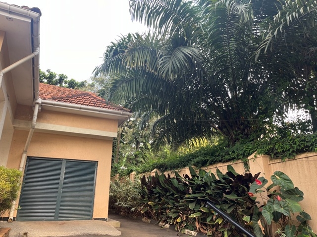 Bungalow for sale in Bugoloobi Kampala