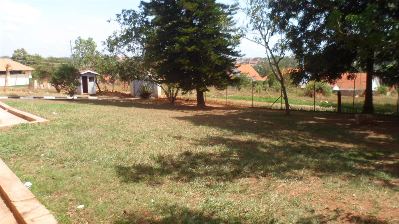 Bungalow for rent in Buziga Kampala