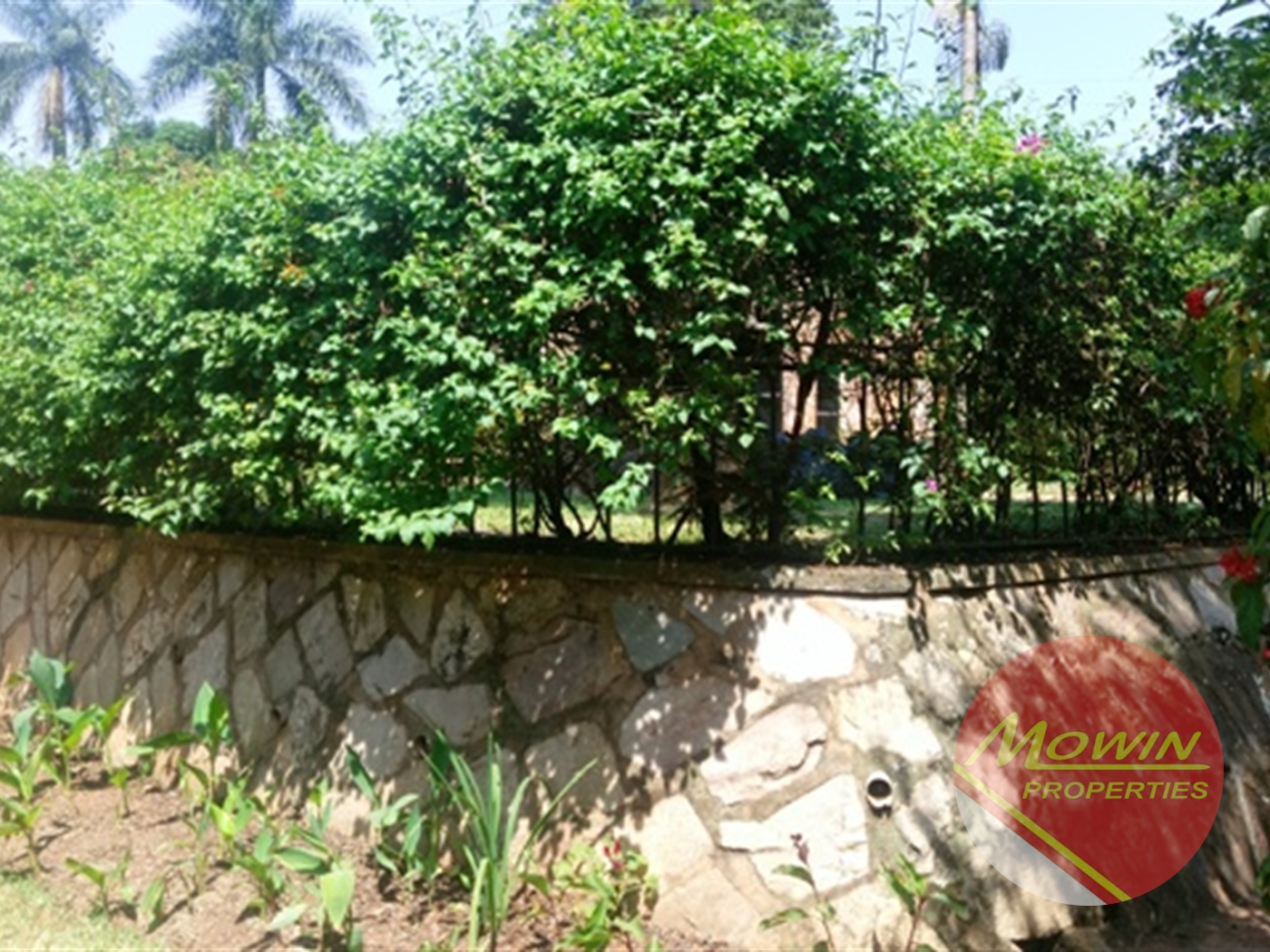 Bungalow for rent in Mbuya Kampala