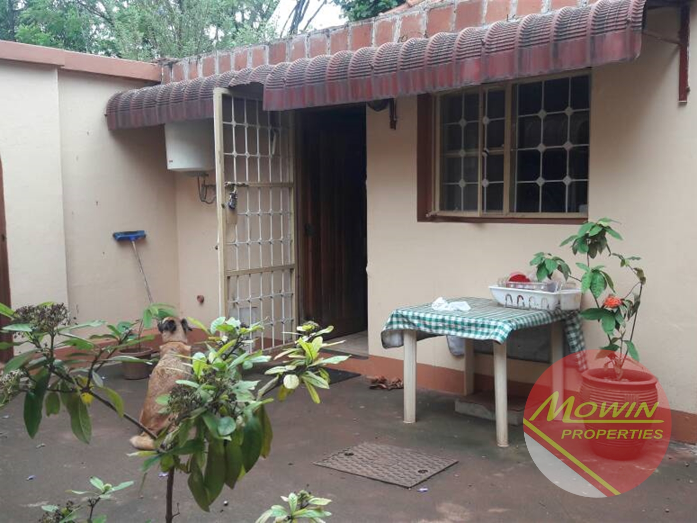 Bungalow for rent in Kololo Kampala