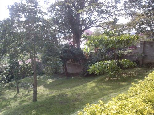 Semi Detached for rent in Kololo Kampala