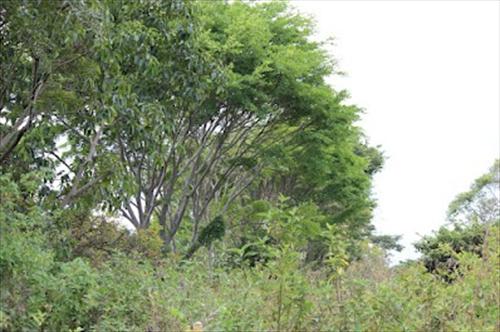 Residential Land for sale in Kawuku Wakiso