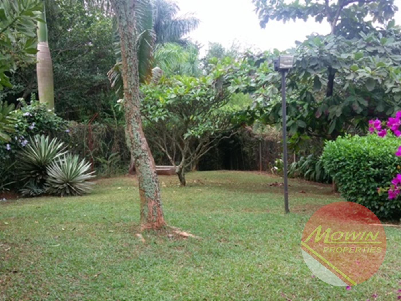 Bungalow for rent in Naguru Kampala