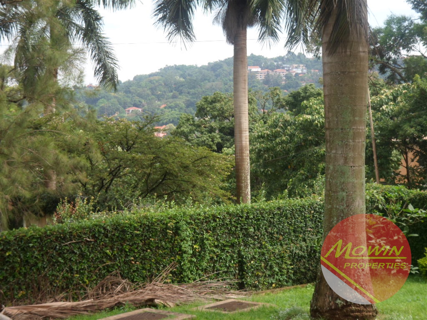 Bungalow for rent in Bugoloobi Kampala