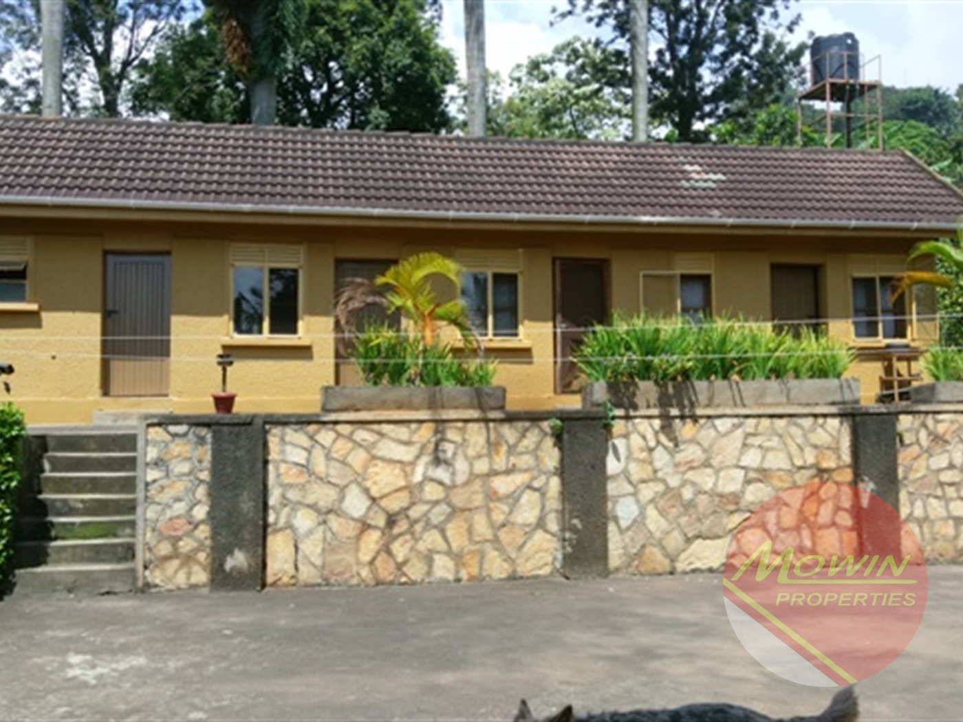 Villa for rent in Kansanga Kampala