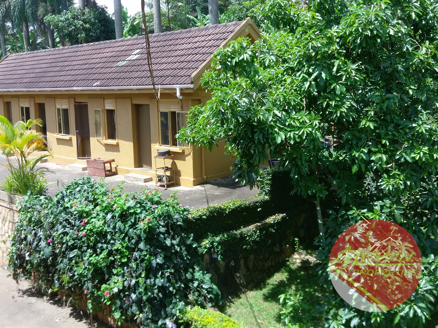 Villa for rent in Kansanga Kampala