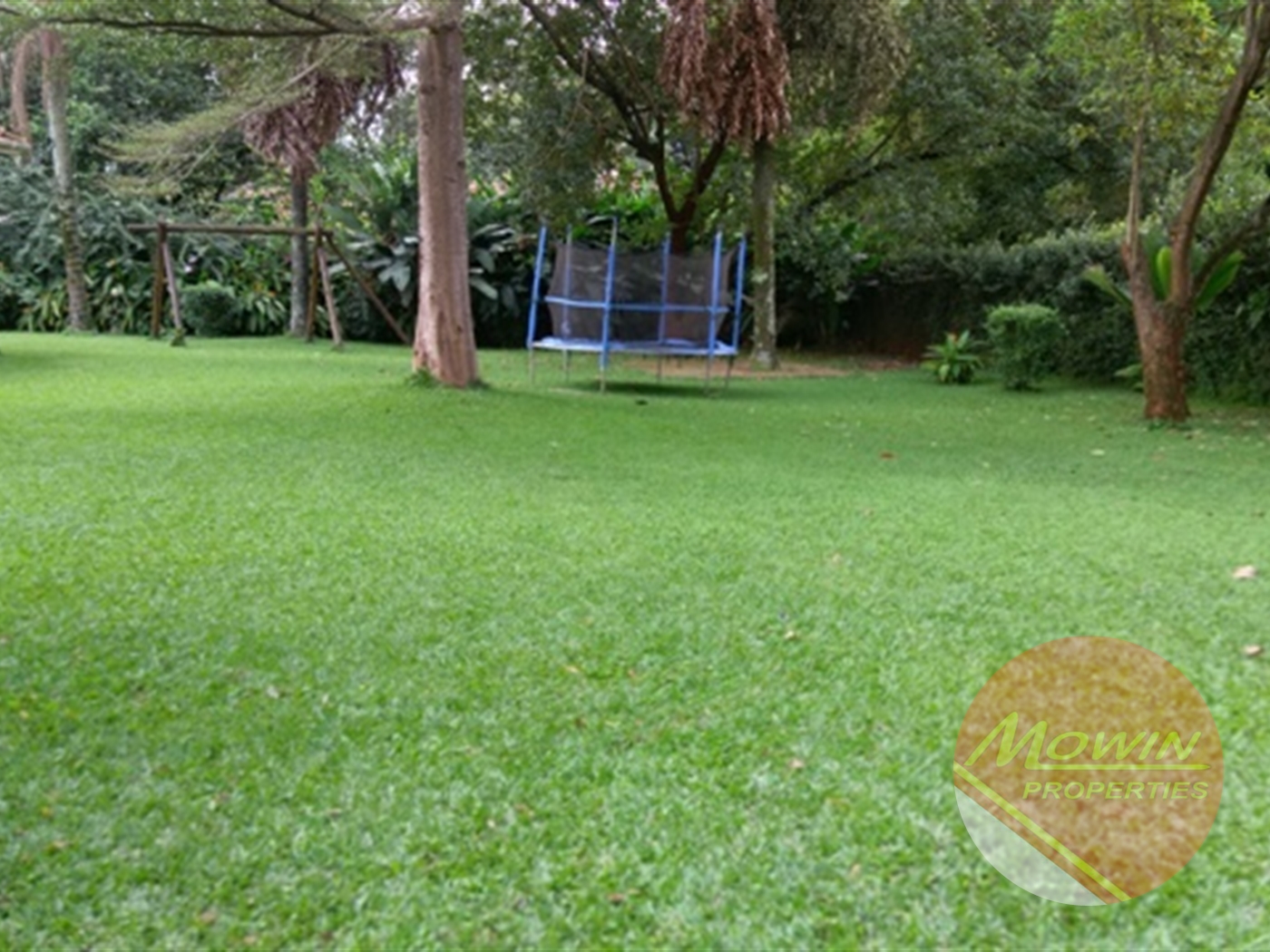 Bungalow for rent in Kololo Kampala