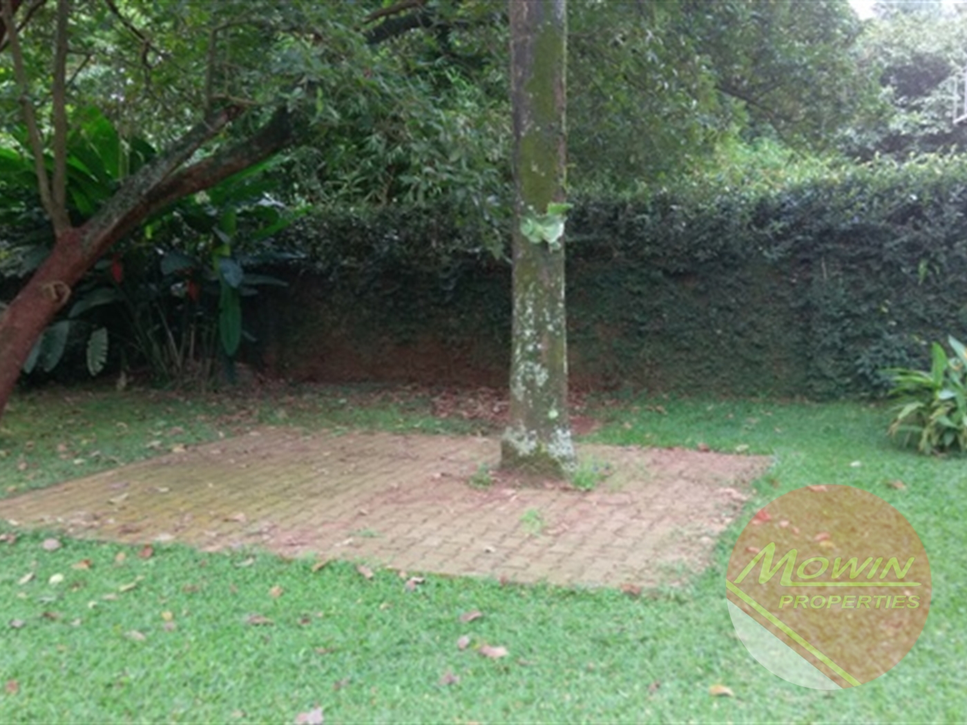 Bungalow for rent in Kololo Kampala