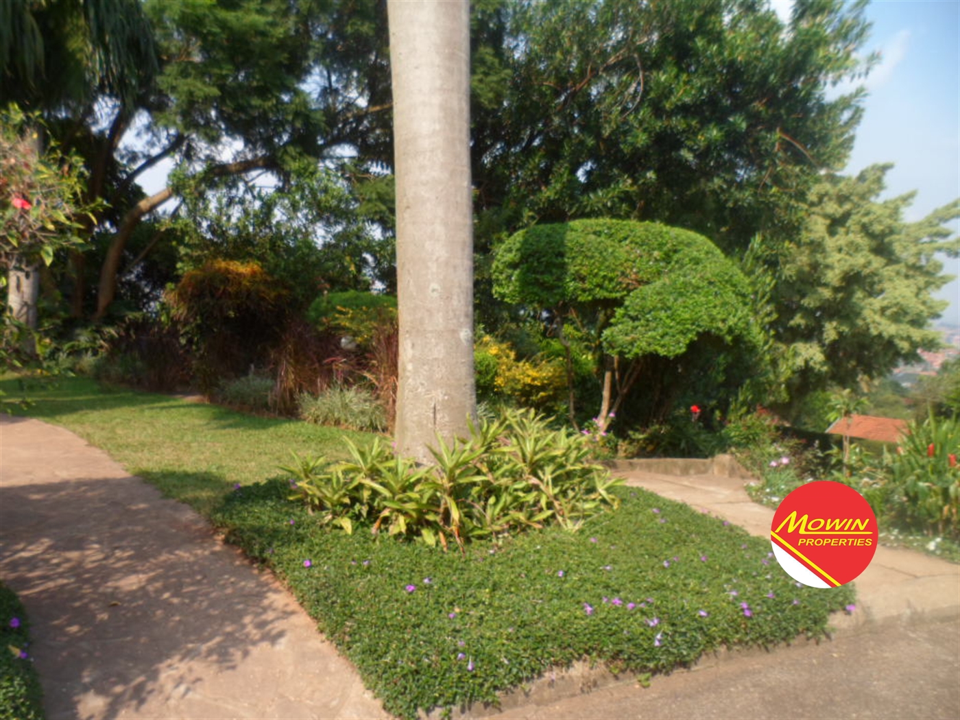 Bungalow for sale in Muyenga Kampala