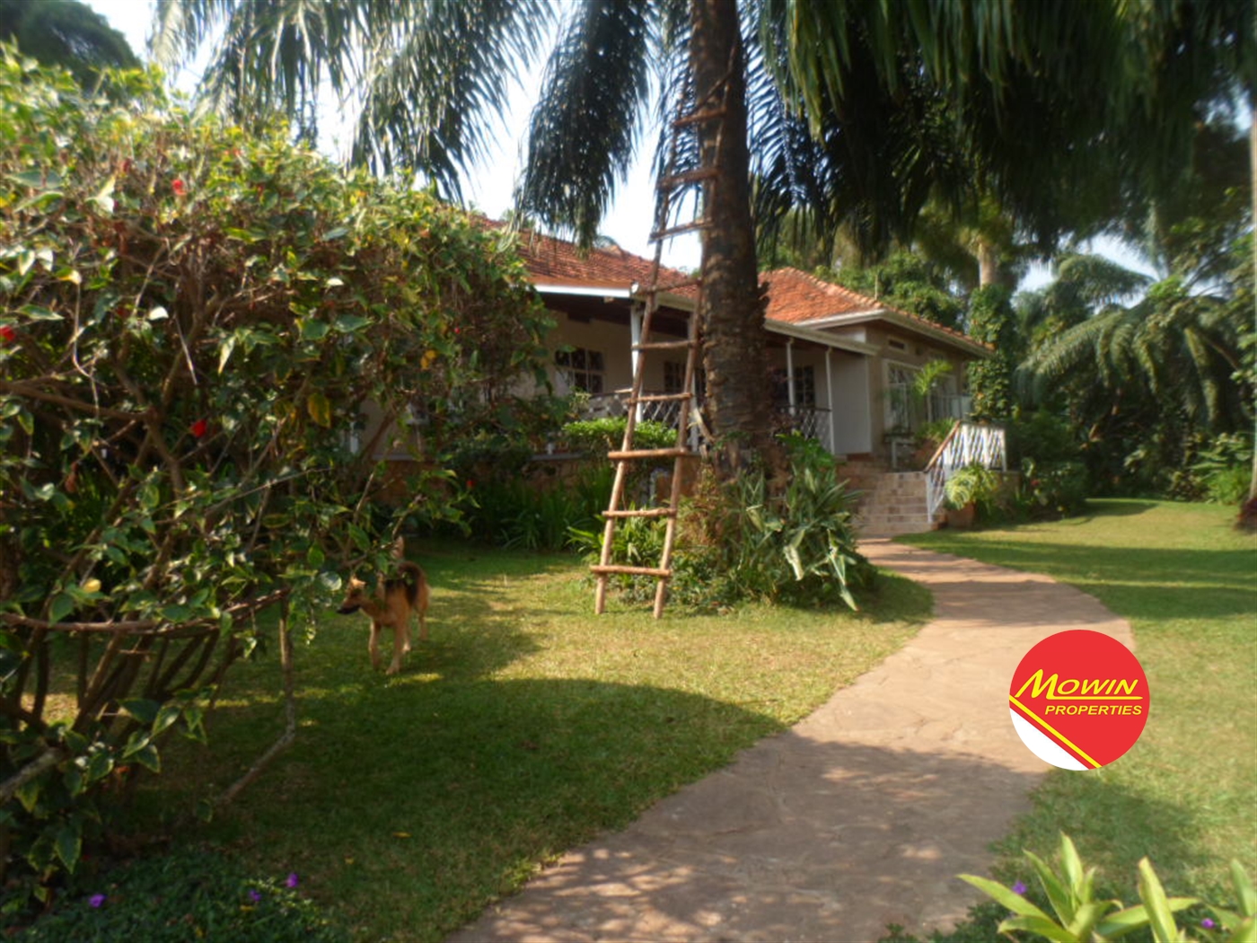 Bungalow for sale in Muyenga Kampala