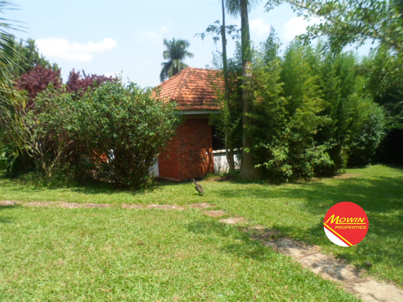 Bungalow for rent in Bugoloobi Kampala