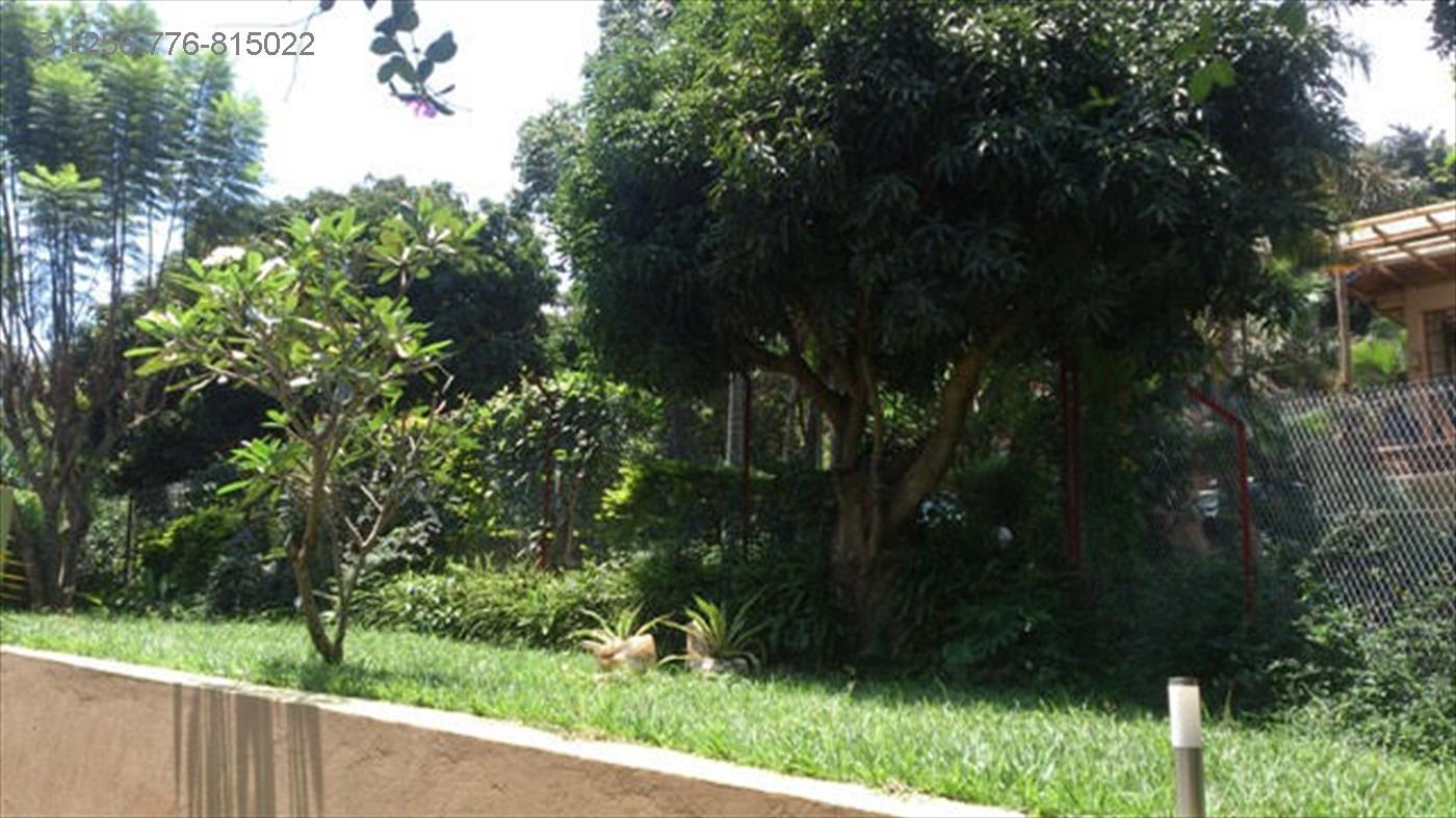 Bungalow for rent in Mutungo Kampala