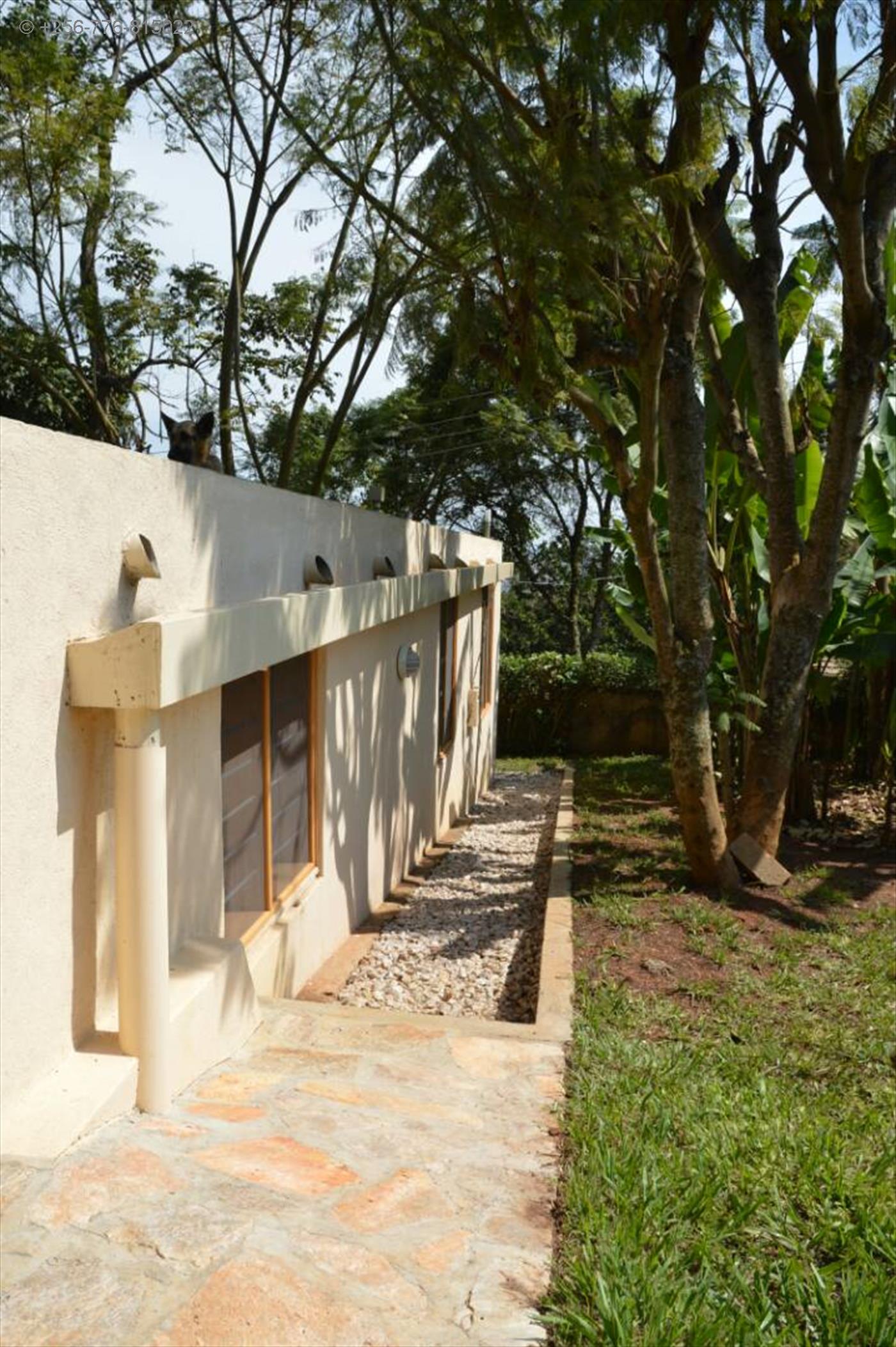 Bungalow for rent in Mutungo Kampala