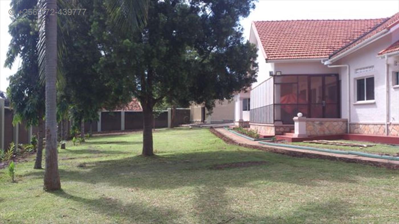 Bungalow for rent in Muyenga Kampala