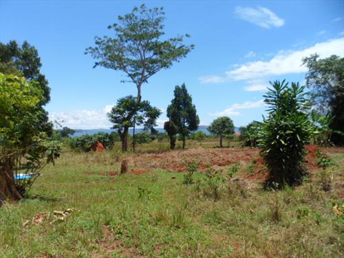 Residential Land for sale in Bwelenga Wakiso