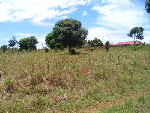 Residential Land for sale in Bwelenga Wakiso