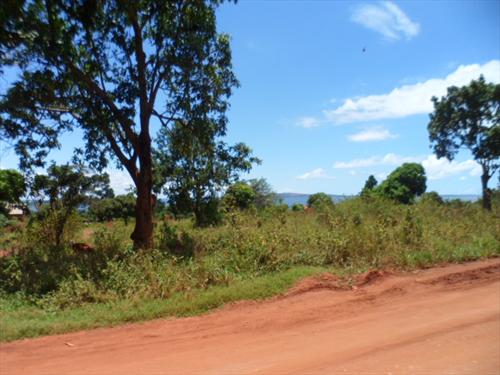 Residential Land for sale in Bwelenga Wakiso