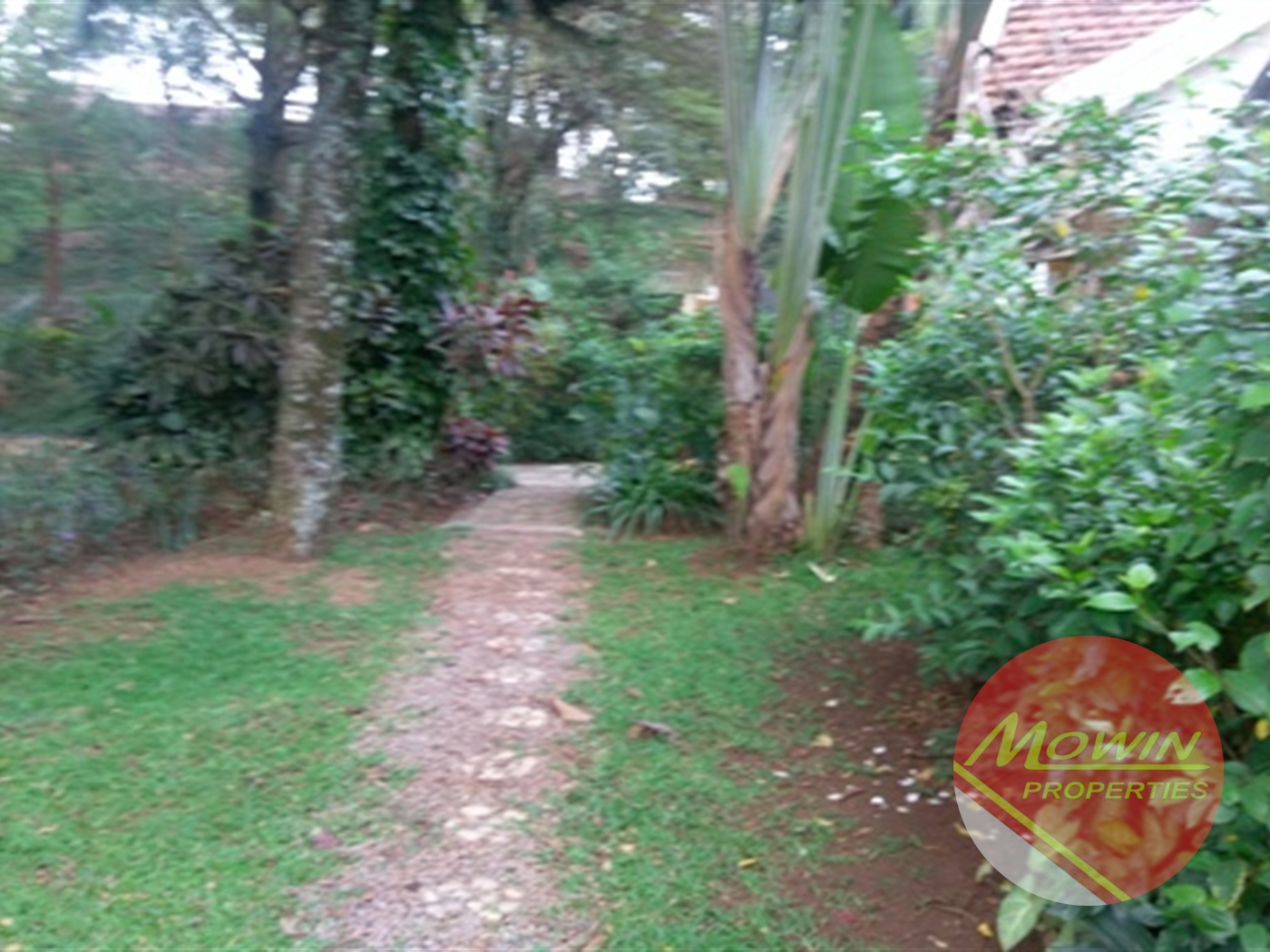 Bungalow for rent in Kololo Kampala