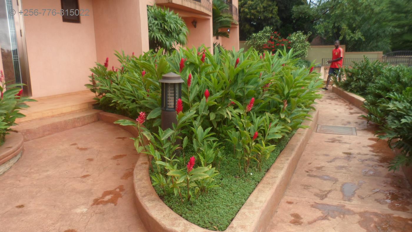 Town House for rent in Nakasero Kampala