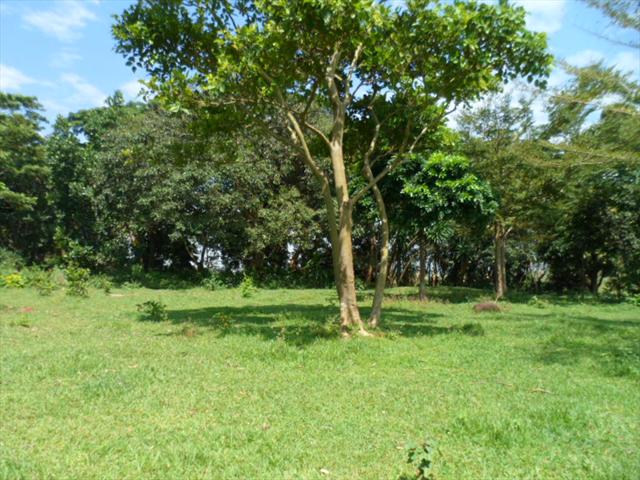 Residential Land for sale in Bwelenga Wakiso