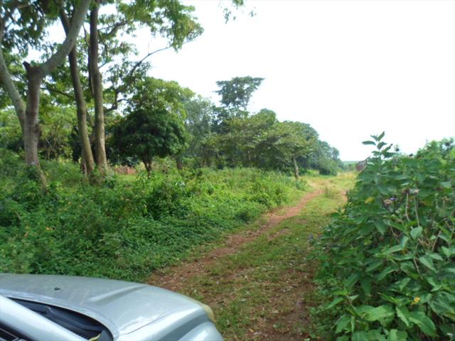 Residential Land for sale in Bwelenga Wakiso