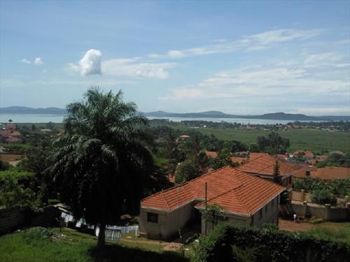 Mansion for rent in Muyenga Kampala