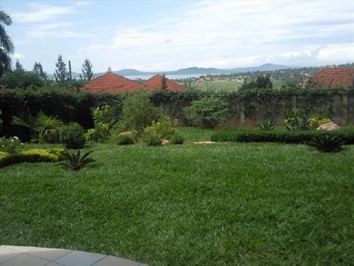 Mansion for rent in Muyenga Kampala