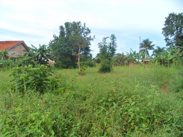 Residential Land for sale in Lungujja Kampala