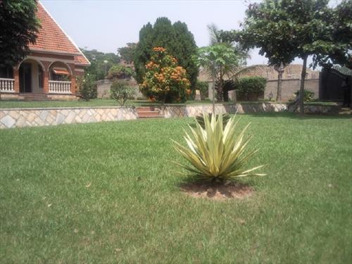 Bungalow for rent in Munyonyo Kampala