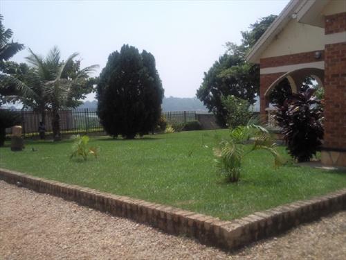 Bungalow for rent in Munyonyo Kampala