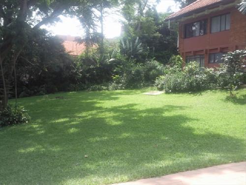 Apartment for rent in Kololo Kampala