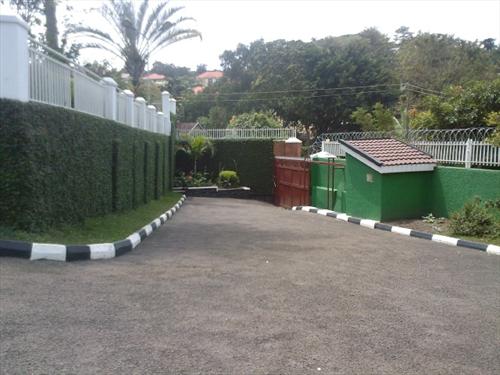 Mansion for rent in Muyenga Kampala