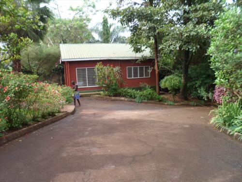 Bungalow for rent in Bugoloobi Kampala