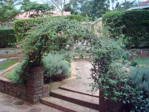 Bungalow for rent in Muyenga Kampala