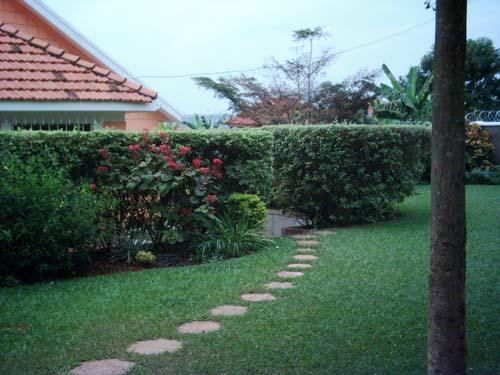 Bungalow for rent in Muyenga Kampala