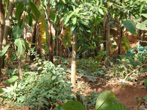 Residential Land for sale in Entebbe Wakiso