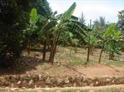 Residential Land for sale in Munyonyo Kampala