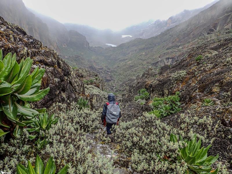 5 DAYS RWENZORI HIKE